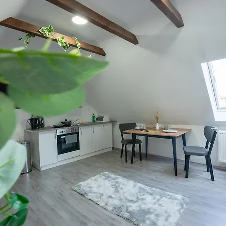 Serviceroom24 - Space In Herten Wlan - Smart-tv - 24-7 Check-in Und Kueche Apartment *